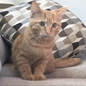 Meet your Posher, Kels